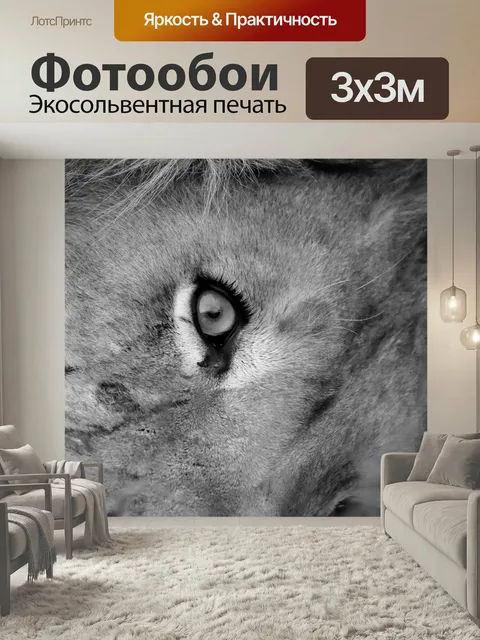 Фотообои Лев, глаз, wi