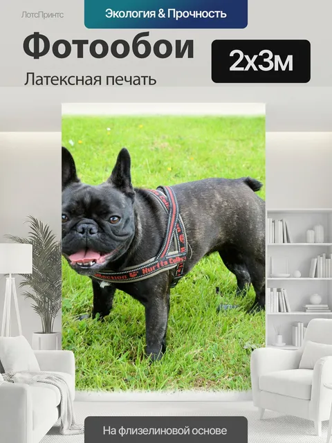 200 × 300 см · Латексная печать