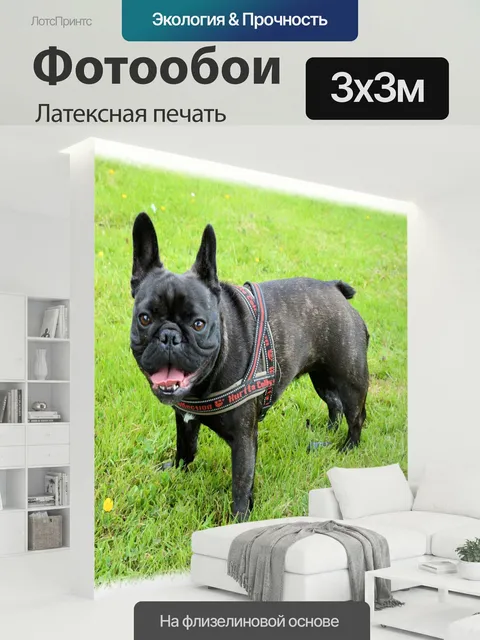 300 × 300 см · Латексная печать