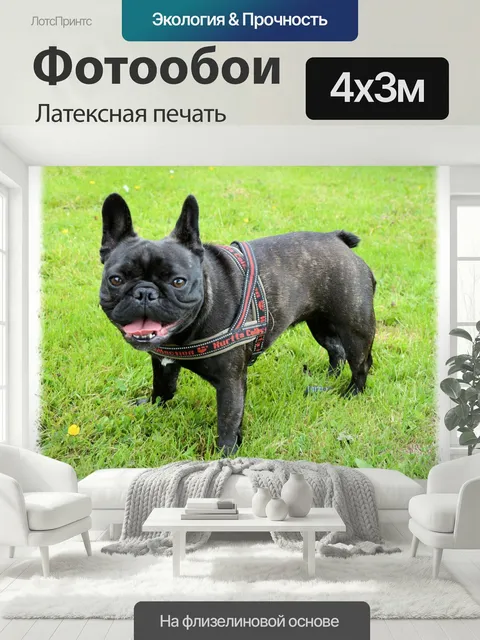400 × 300 см · Латексная печать