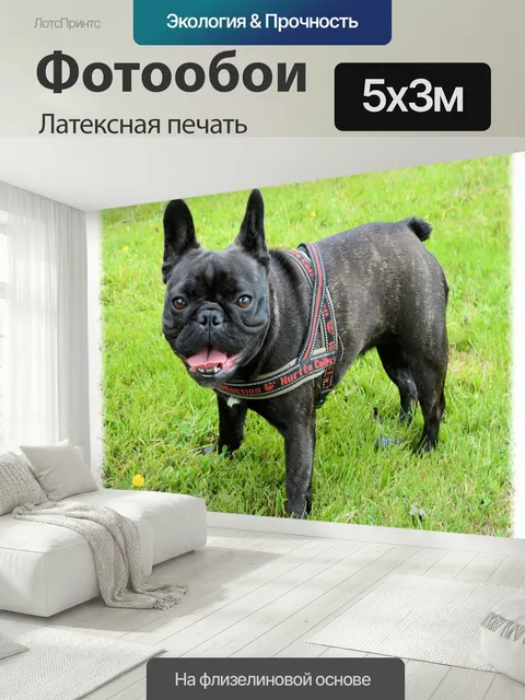 500 × 300 см · Латексная печать