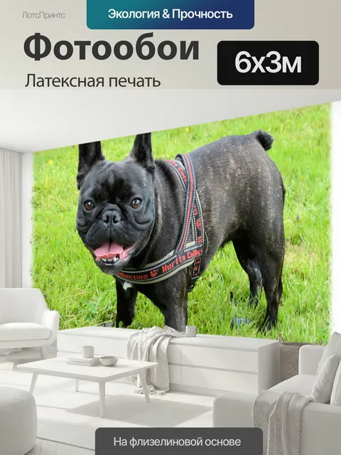 600 × 300 см · Латексная печать