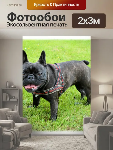 200 × 300 см · Экосольвентная печать