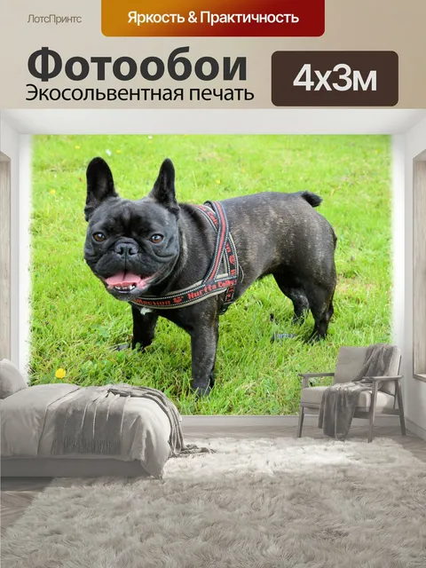 400 × 300 см · Экосольвентная печать