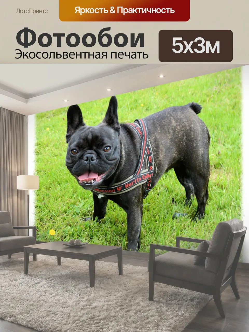Фотообои Даутцен 2 Французский бульдог 2 E-карты домашние животные животные собаки французский бульдог Даутцен