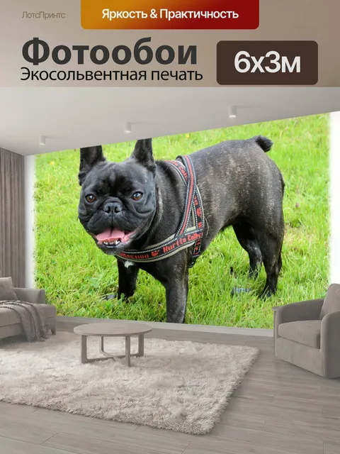 600 × 300 см · Экосольвентная печать