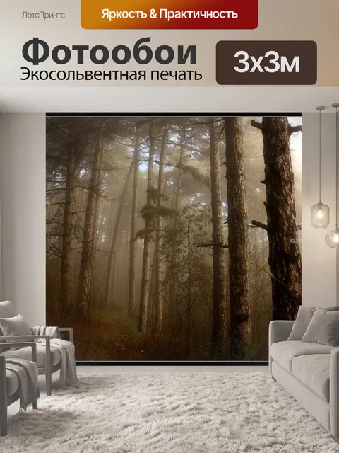 Фотообои Деревья, туман, лес