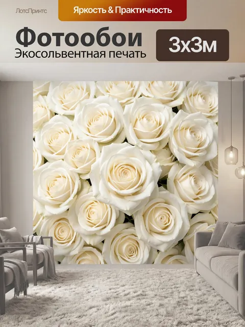 Фотообои Белые розы крупным планом