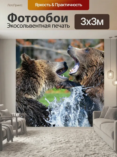 Фотообои Гризли, медведи, спарринг