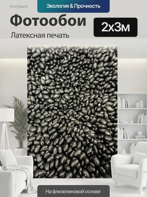 200 × 300 см · Латексная печать