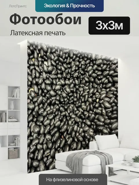 300 × 300 см · Латексная печать