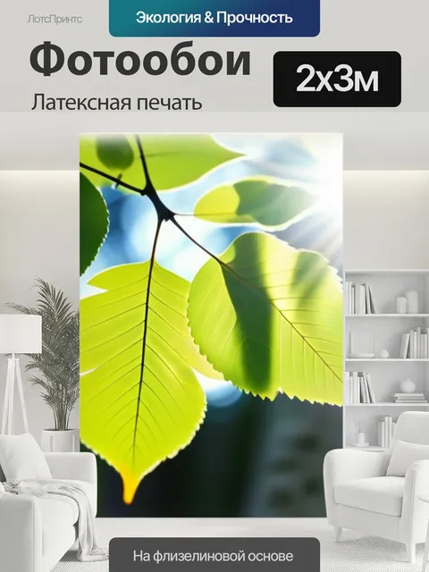200 × 300 см · Латексная печать
