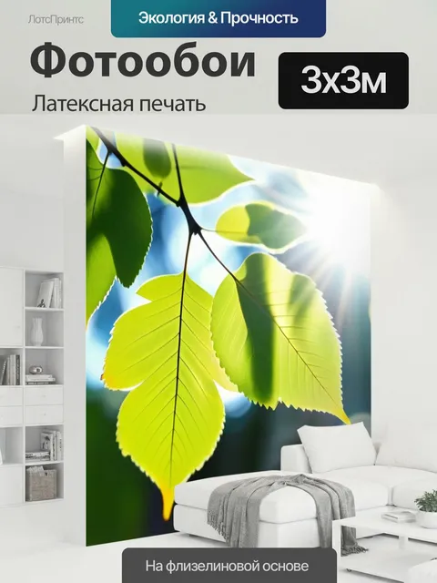 300 × 300 см · Латексная печать