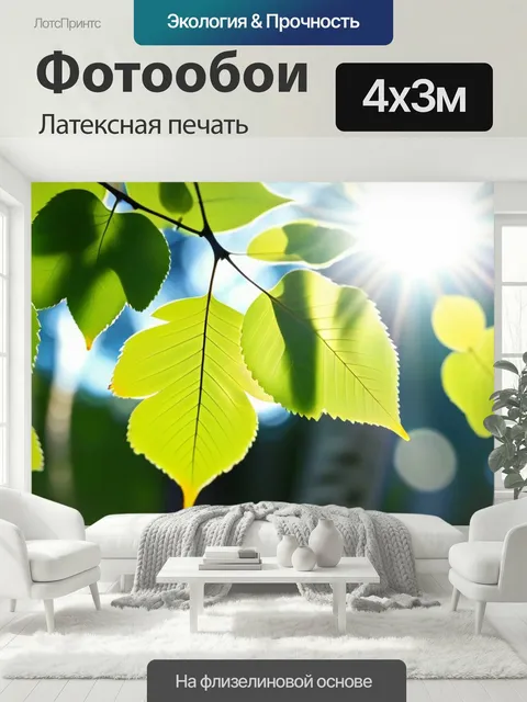 400 × 300 см · Латексная печать