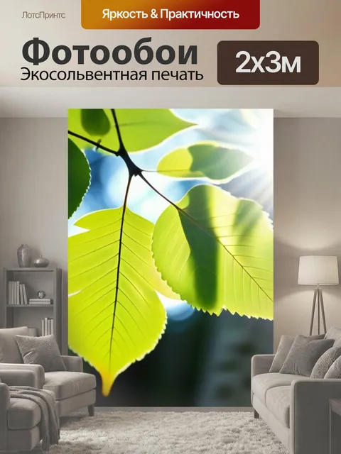 200 × 300 см · Экосольвентная печать