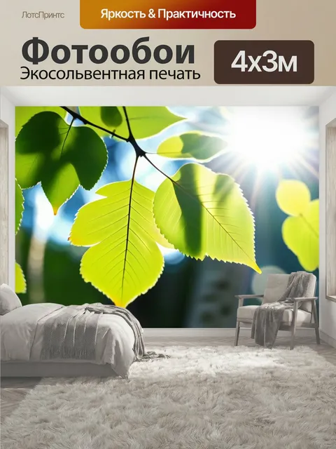 400 × 300 см · Экосольвентная печать