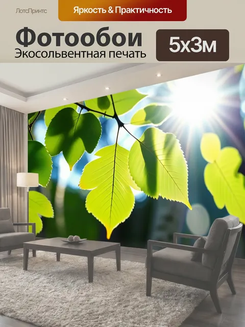 500 × 300 см · Экосольвентная печать