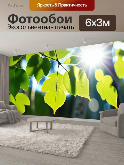 600 × 300 см · Экосольвентная печать