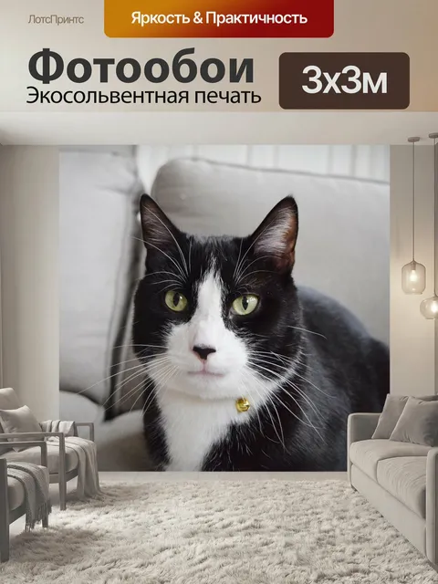 Фотообои Том, кошка, черное и белое