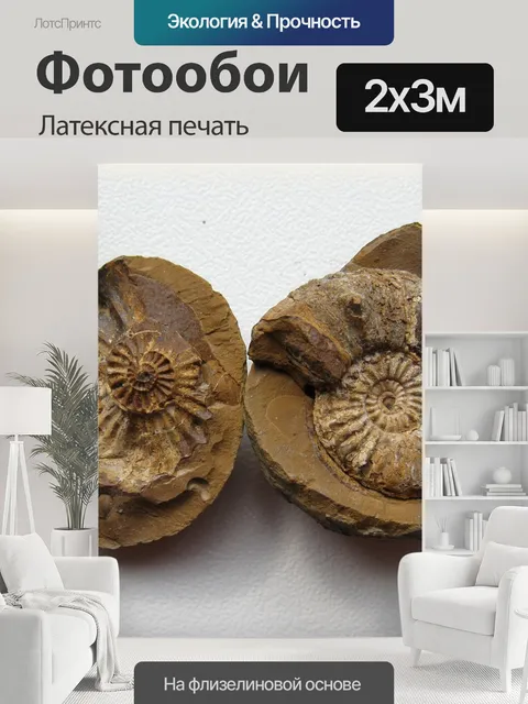 200 × 300 см · Латексная печать