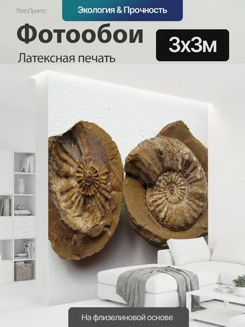 300 × 300 см · Латексная печать