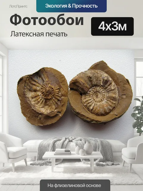 400 × 300 см · Латексная печать