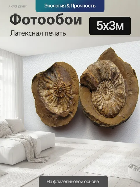 500 × 300 см · Латексная печать