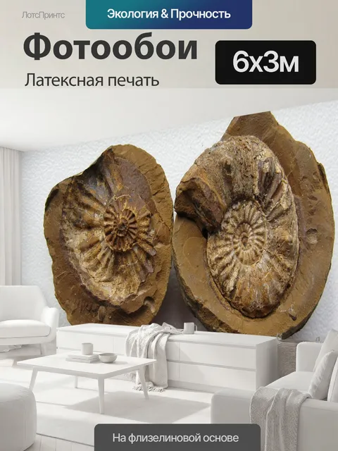 600 × 300 см · Латексная печать