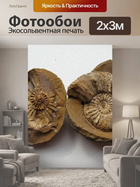 200 × 300 см · Экосольвентная печать