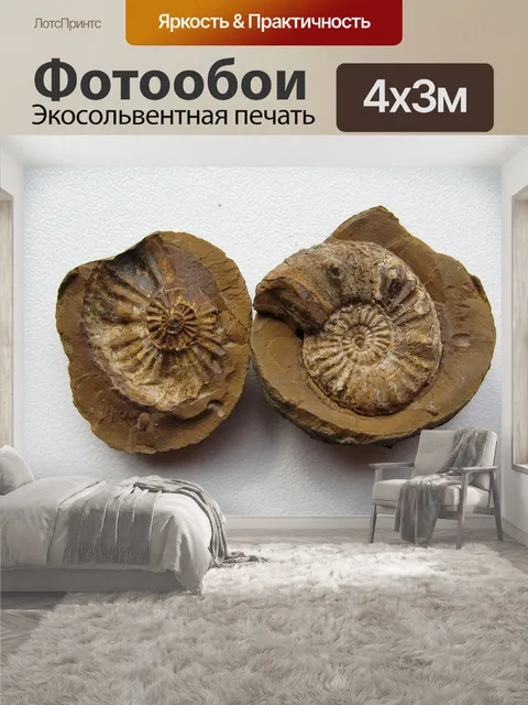 400 × 300 см · Экосольвентная печать