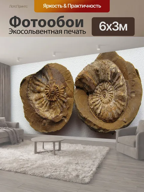600 × 300 см · Экосольвентная печать