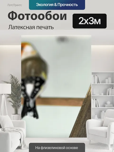 200 × 300 см · Латексная печать