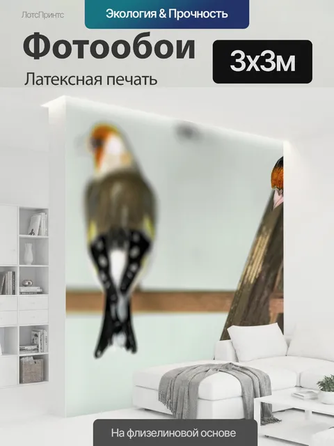 300 × 300 см · Латексная печать
