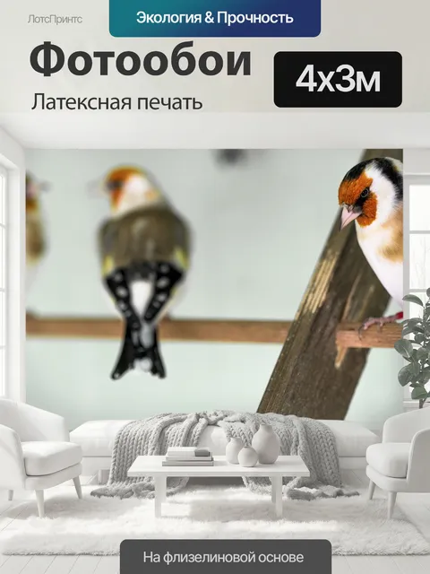 400 × 300 см · Латексная печать