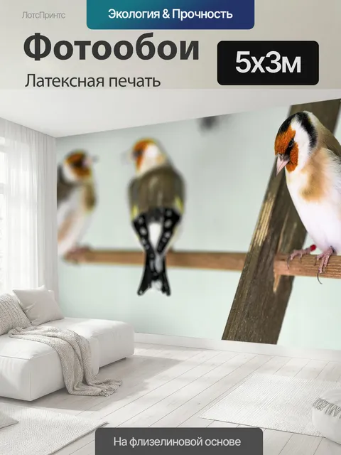 500 × 300 см · Латексная печать