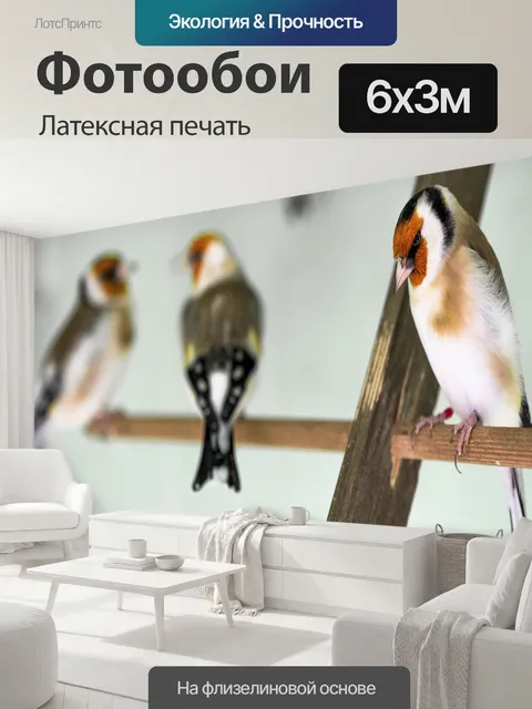 600 × 300 см · Латексная печать