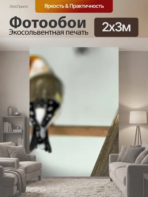 200 × 300 см · Экосольвентная печать