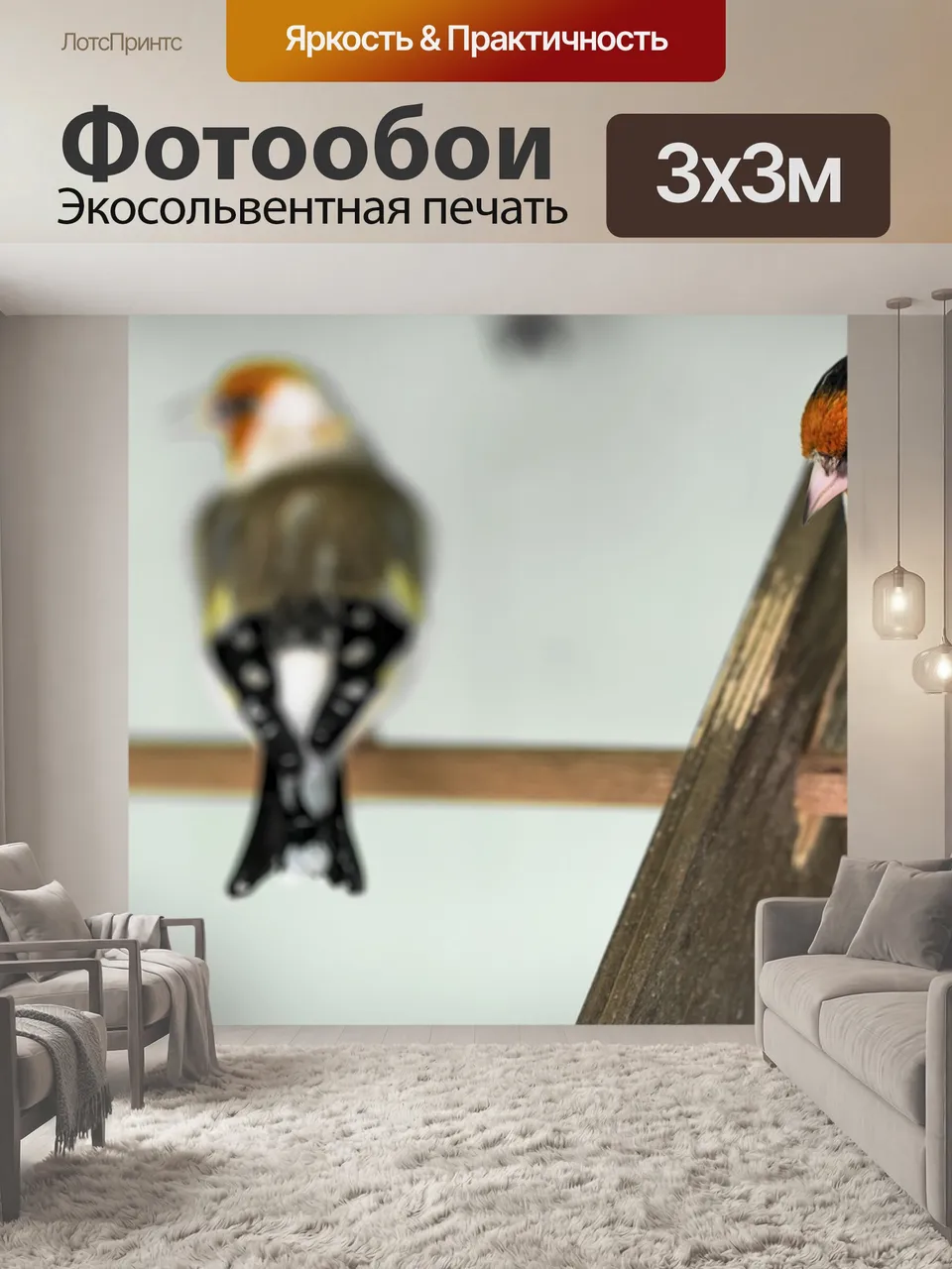 Фотообои Щегол, птица, отношения
