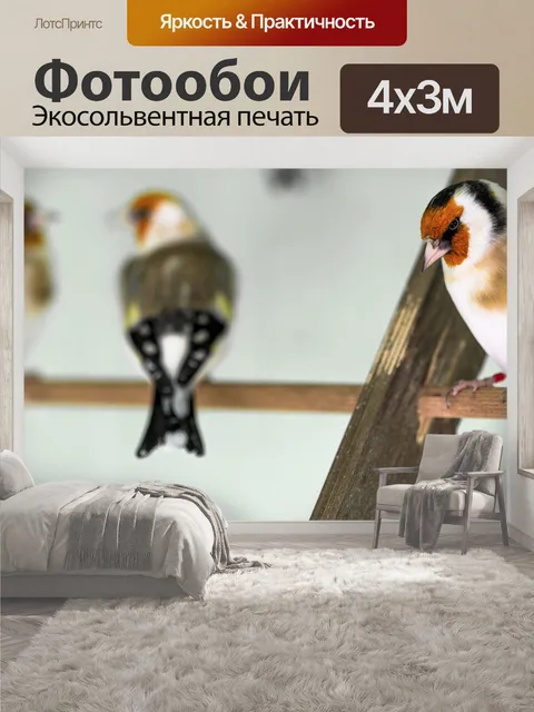 400 × 300 см · Экосольвентная печать