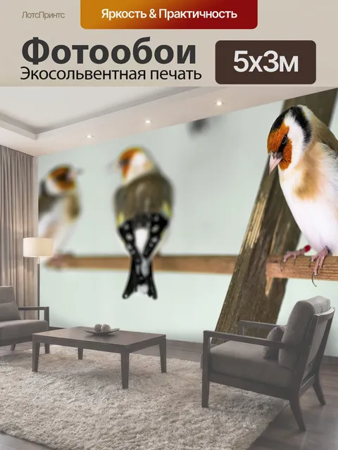 500 × 300 см · Экосольвентная печать