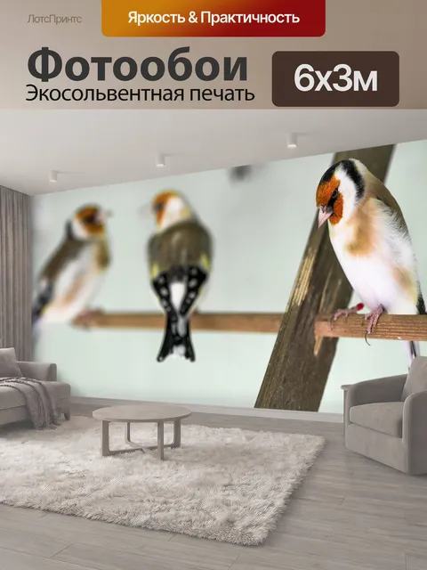 600 × 300 см · Экосольвентная печать