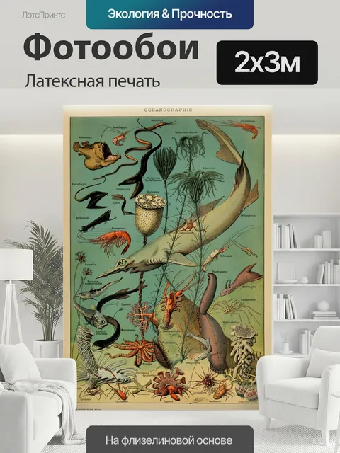 200 × 300 см · Латексная печать