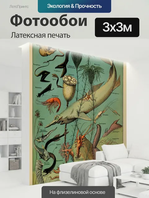 300 × 300 см · Латексная печать