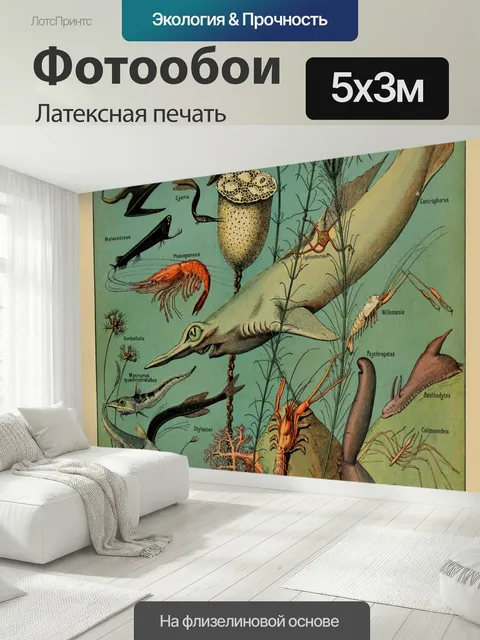 500 × 300 см · Латексная печать