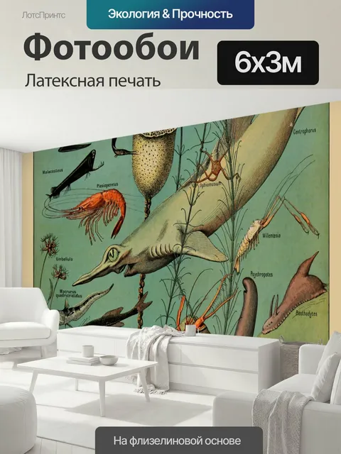 600 × 300 см · Латексная печать
