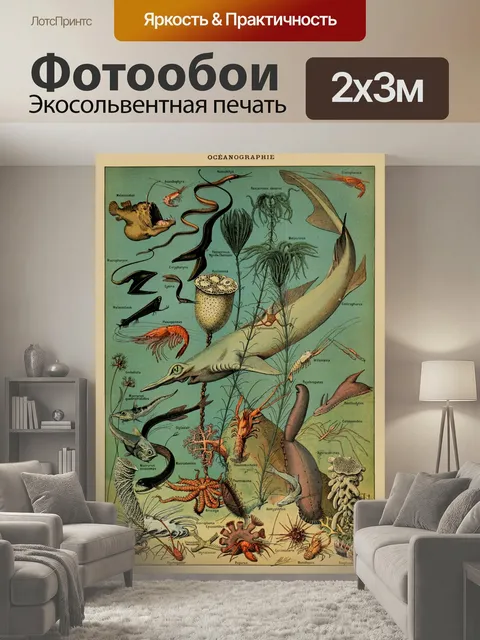 200 × 300 см · Экосольвентная печать