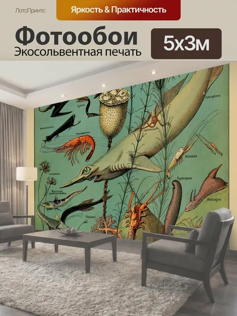 Фотообои Fish Vintage Арт Принт Красивый набор различных видов рыб
