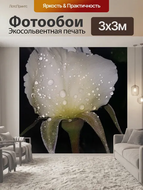 Фотообои Роза, цветок, темный