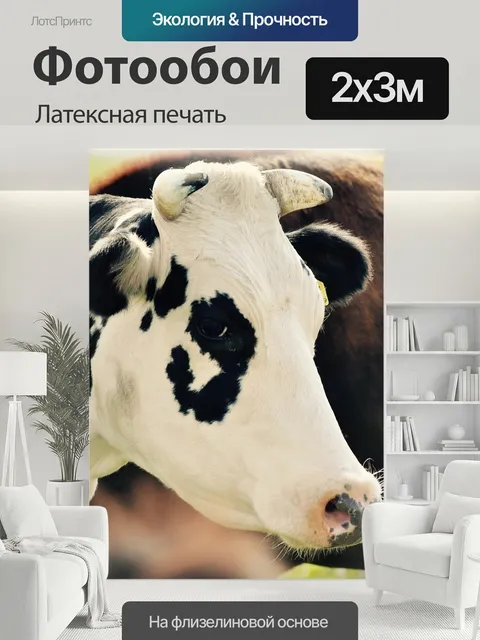 200 × 300 см · Латексная печать
