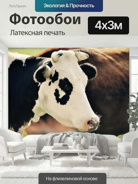 400 × 300 см · Латексная печать